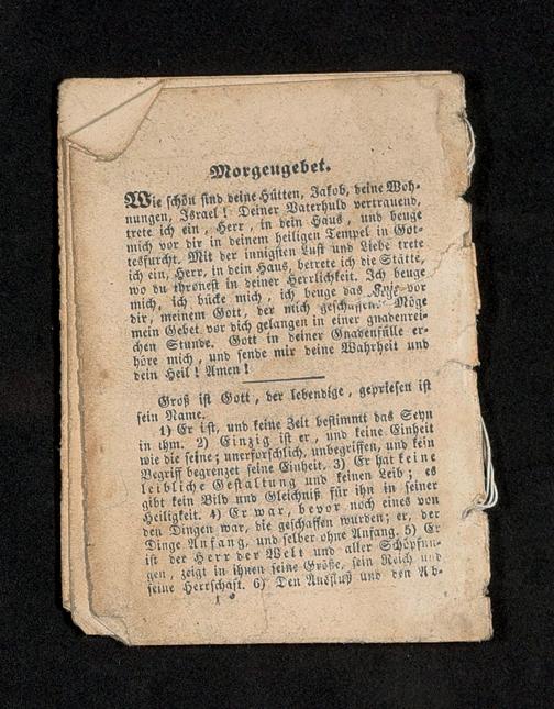 Zur Seitenansicht